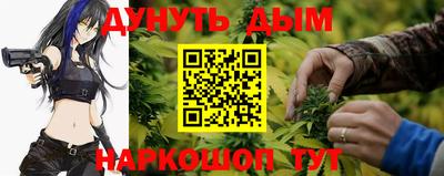 МДПВ Краснознаменск