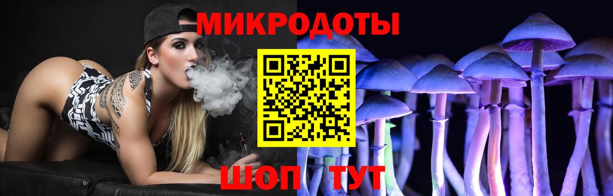 хочу наркоту  Галлюциногенные грибы Psilocybe  Вход с VPN  Заводоуковск 